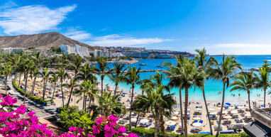 Beach in Gran Canaria with palm trees and hotels in background